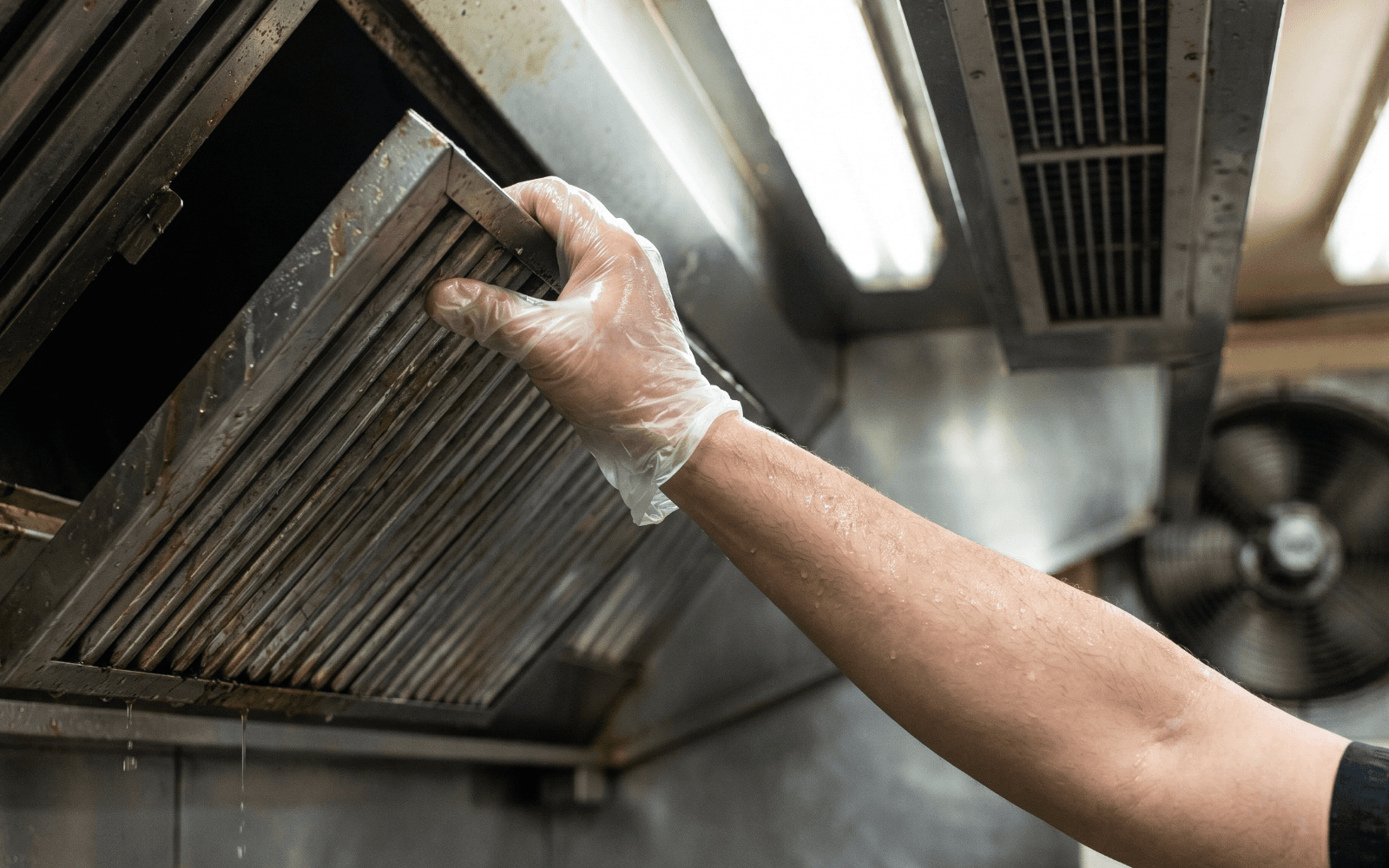 Technician cleaning extraction filter